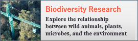 Biodiversity Research | Explore the relationship between wild animals, plants, and the environment