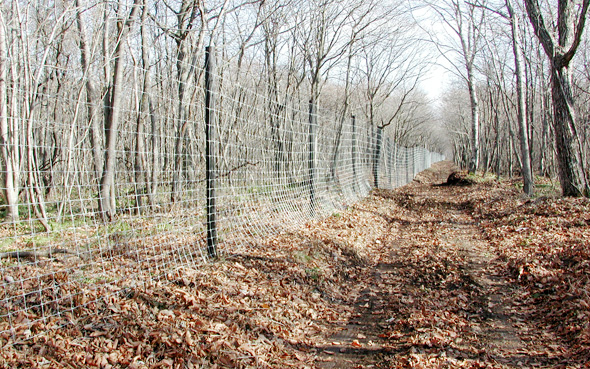 Experimental barrier for Sika deer to investigate impacts of Sika Deer on plant and animal community