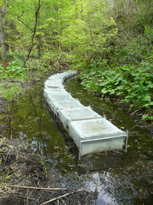 Field experiment using enclosures to investigate ecological interaction among aquatic creature
