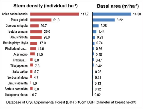 Tree census